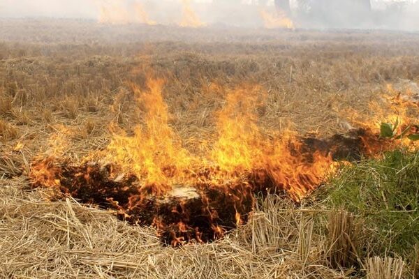 Haryana Unveils Policy To Eliminate Crop Residue, Curb Stubble Burning