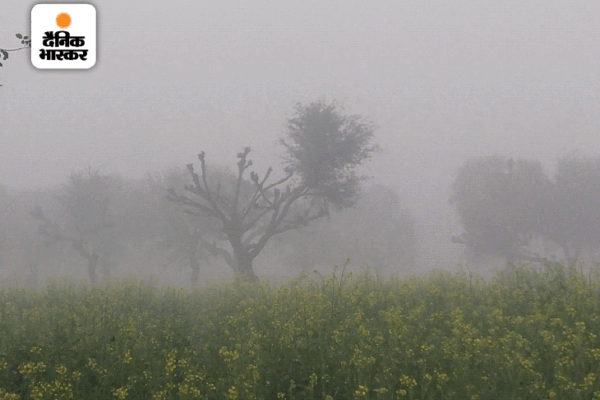 शीतलहर को लेकर जारी चेतावनी: राज्य के पश्चिमी हिस्सों में शीतलहर की संभावना, तापमान 10 डिग्री से.से