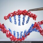 10,000 Genomes Of Indian Population Sequenced: Centre