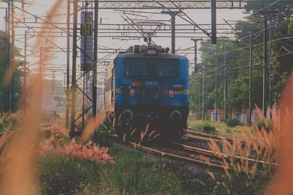 Passenger Bitten By Snake On Kerala-Tamil Nadu Train, Hospitalised: Cops