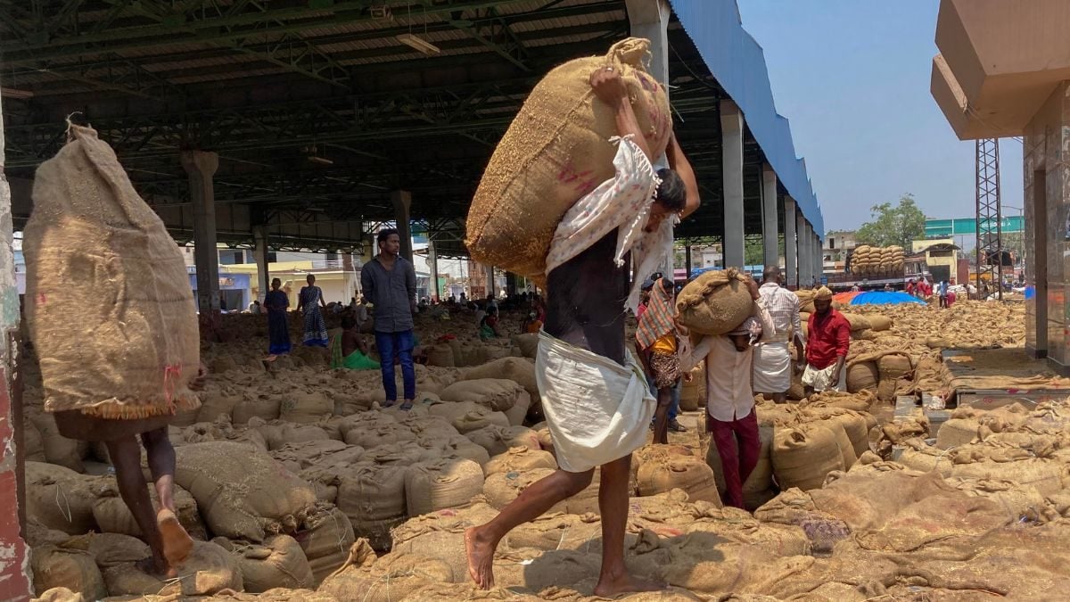 रायचूर लोकसभा चुनाव 2024: एसटी सीट पर 'शाही' सांसद और पूर्व आईएएस अधिकारी के बीच कड़ा मुकाबला - News18